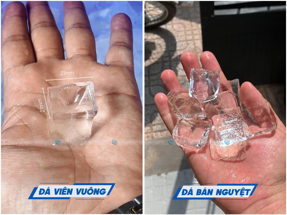 Hai dạng đá viên phổ biến cho các quán đồ uống hiện nay là đá viên vuông và đá bán nguyệt